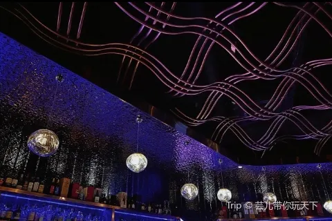Mimosa Lounge