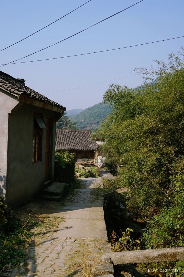 冠佩村
