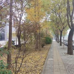 圣鲸美食汇(长治商厦店) User Photo
