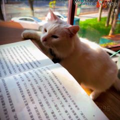 WILD野·渚POND User Photo
