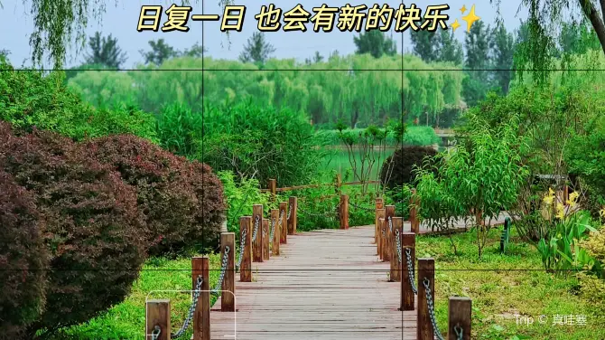 燕郊植物園