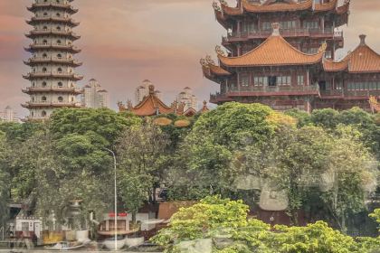 大頭椰·海南椰子雞火鍋 （華潤萬象城店）