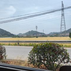 李东农庄·土鸡·溪鱼 User Photo