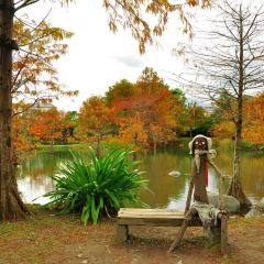 Pine Tree Lake User Photo