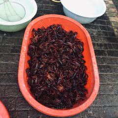 LOBSTER MONSTRE 여행 사진