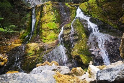 Cao Ji Xian Wei Restaurant
