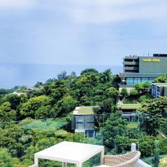 The Sundeck User Photo