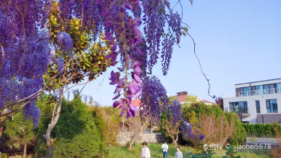 花花花的咖啡(明珠花园店)