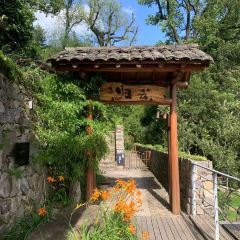 原舍揽树(松阳店)·人烟咖啡馆 User Photo