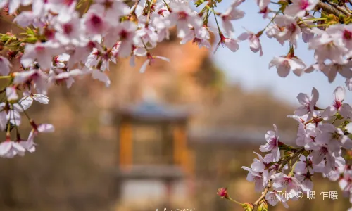 หุบเขาภูเขาฟูซี