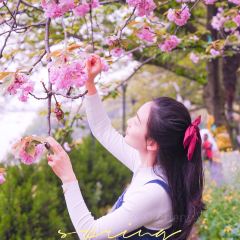 Qingchuanjiarijiudian·huwaijiangpanzizhucan User Photo