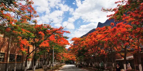 綠汁公園