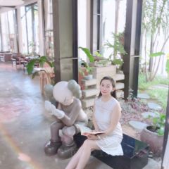 問海張用戶圖片