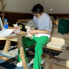 阿尔泰金牧舍 User Photo