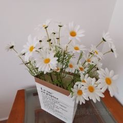 松鶴山莊張用戶圖片