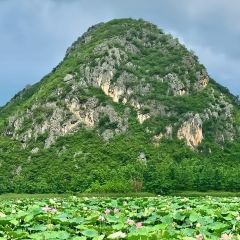 溪上花园餐厅 User Photo