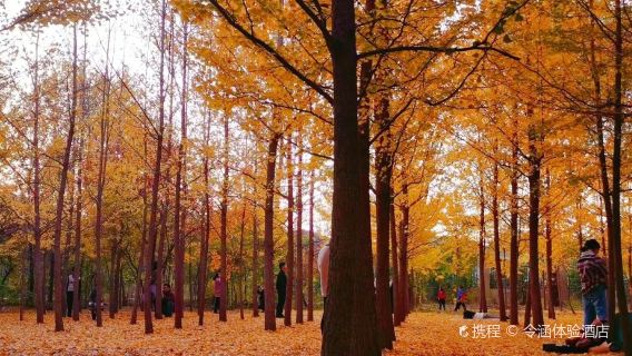 Pushang Park