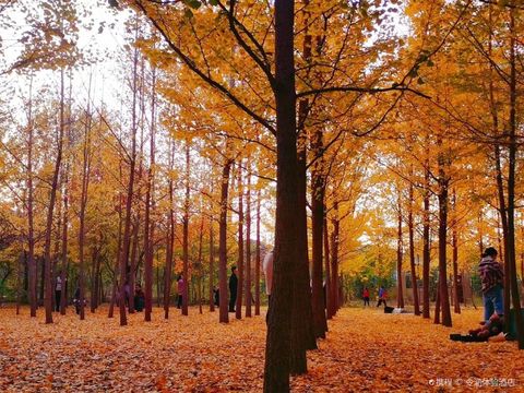 Pushang Park