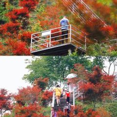 柒月麓山 여행 사진