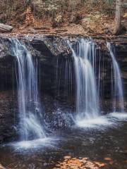 Parque estatal Ricketts Glen