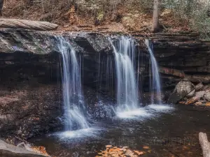 Parque estatal Ricketts Glen