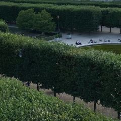 Ristorante Lo Stravagante張用戶圖片