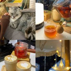 猫台咖啡 User Photo