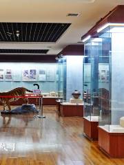 Dingxishi Museum