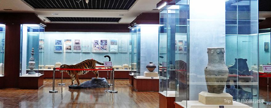 Dingxishi Museum