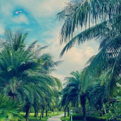 海南蓝湾绿城威斯汀度假酒店·西餐厅 여행 사진