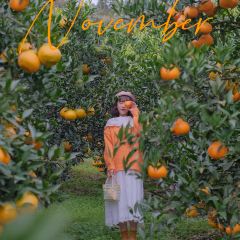 小馆·苔野 User Photo