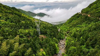 Kuocang Mountain National Forest Park of China
