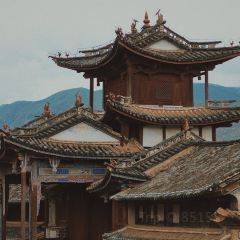 吃茶去 User Photo