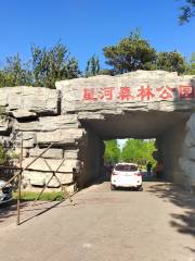 Yixiang Forest Park