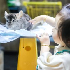 Dakku沖鴨俱樂部張用戶圖片