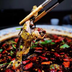 鑫金川鱼庄 User Photo