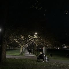 Söderberg The Meadows User Photo