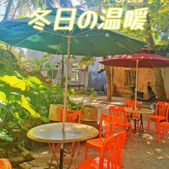 Pier Dad tea 여행 사진