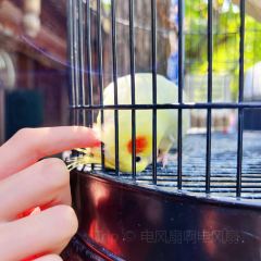 古堰名小吃·文庙面馆 User Photo