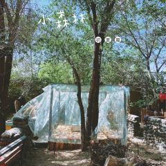 柒公里艺术庄园农家乐烧烤度假村 User Photo