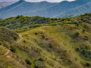 Gupo Grassland