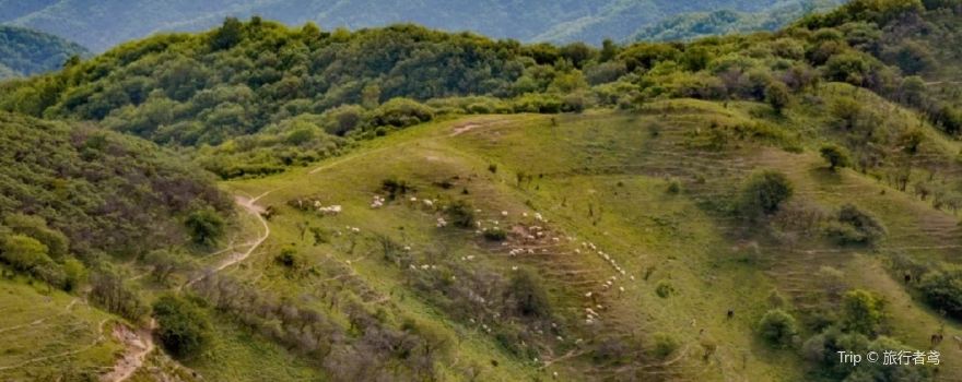 Gupo Grassland