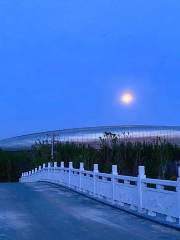 Tai'an Olympic Sports Center