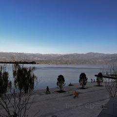 櫻花屋音樂餐吧張用戶圖片