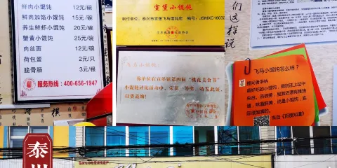 飛馬小餛飩（宣堡北街店）