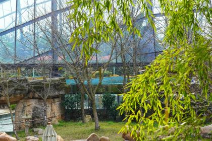 悦兮半岛温泉度假酒店·餐厅部