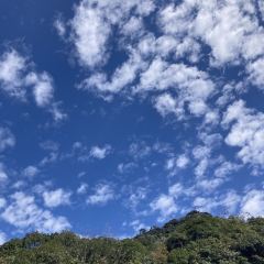 莽山天台山美食 User Photo