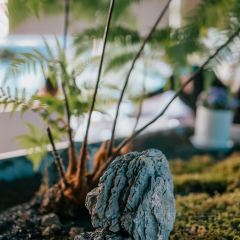 银滩鲍鱼火锅(麓湖店) User Photo