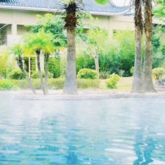 竹園中餐廳張用戶圖片