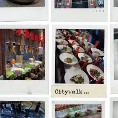 聚龙堂肉饼鸡 User Photo